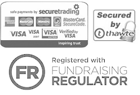 an image of secured payment logos